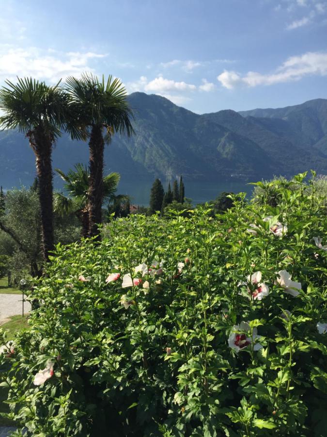 Residenza Margherita Tremezzo Buitenkant foto